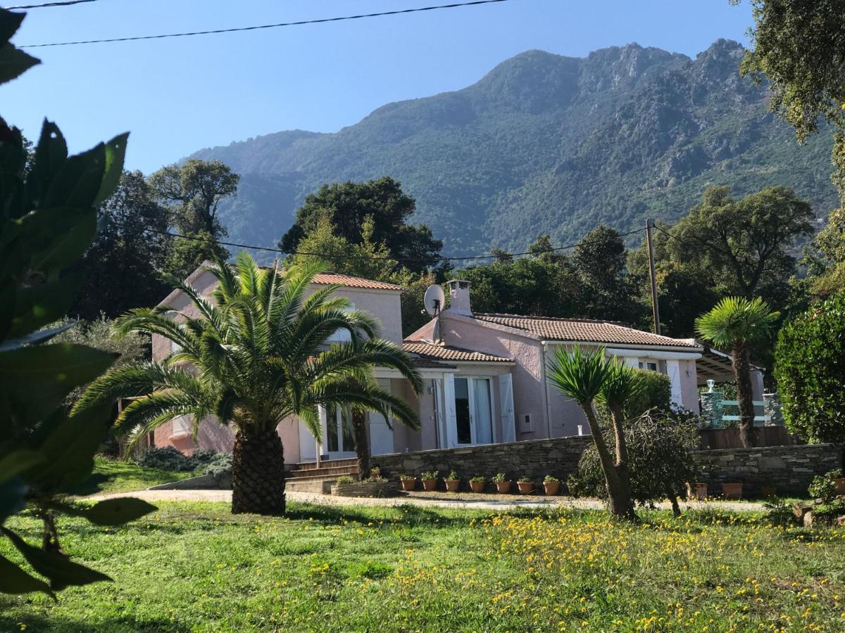 Chambre Hotes Carpe Diem Santa-Maria-Poggio  Dış mekan fotoğraf